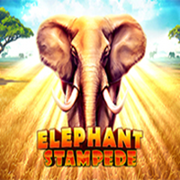 Elephant Stampede