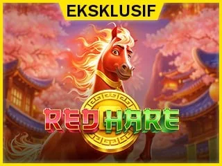 Red Hare PP